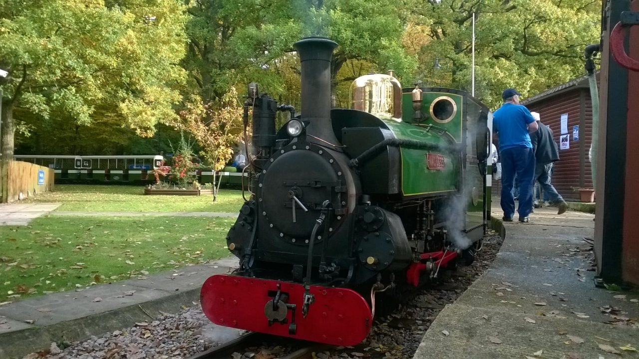 Mad Bess at Woody Bay on the Ruislip Lido Railway