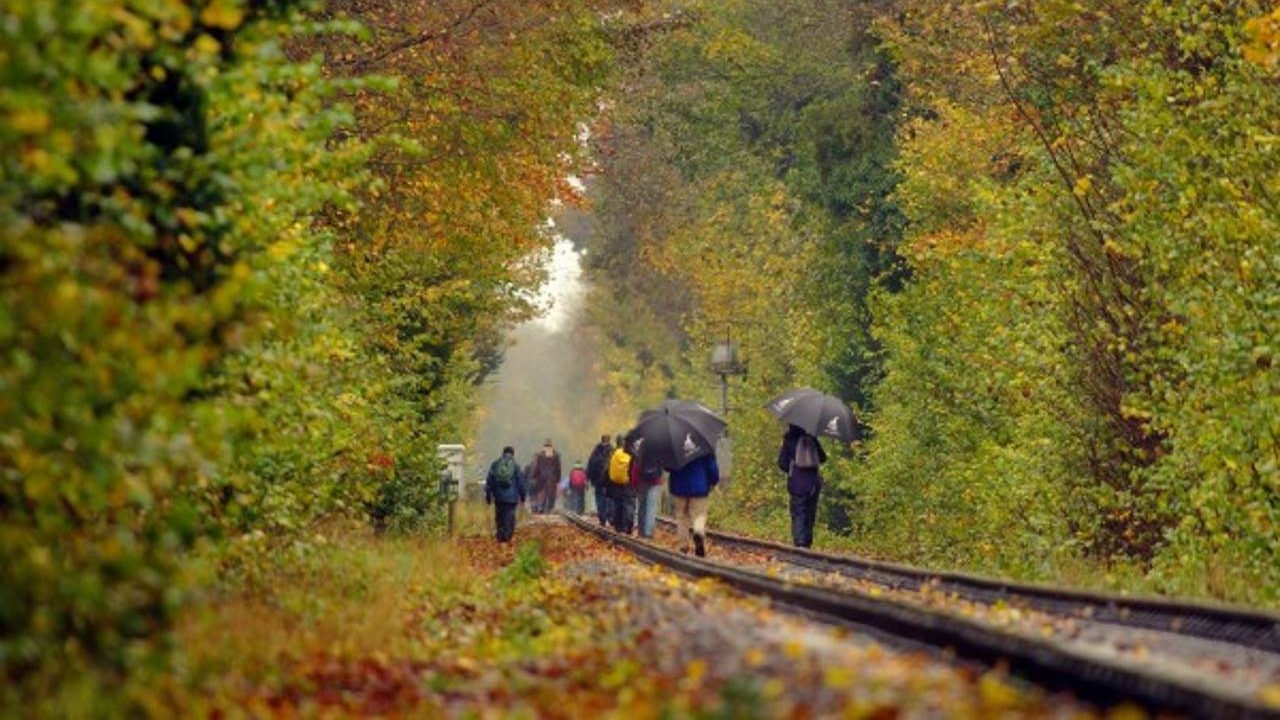 Walk the line at the Mid Hants Railway