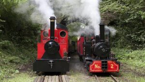 Zebedee and Muffin - Locomotives at Lappa Valley Credit