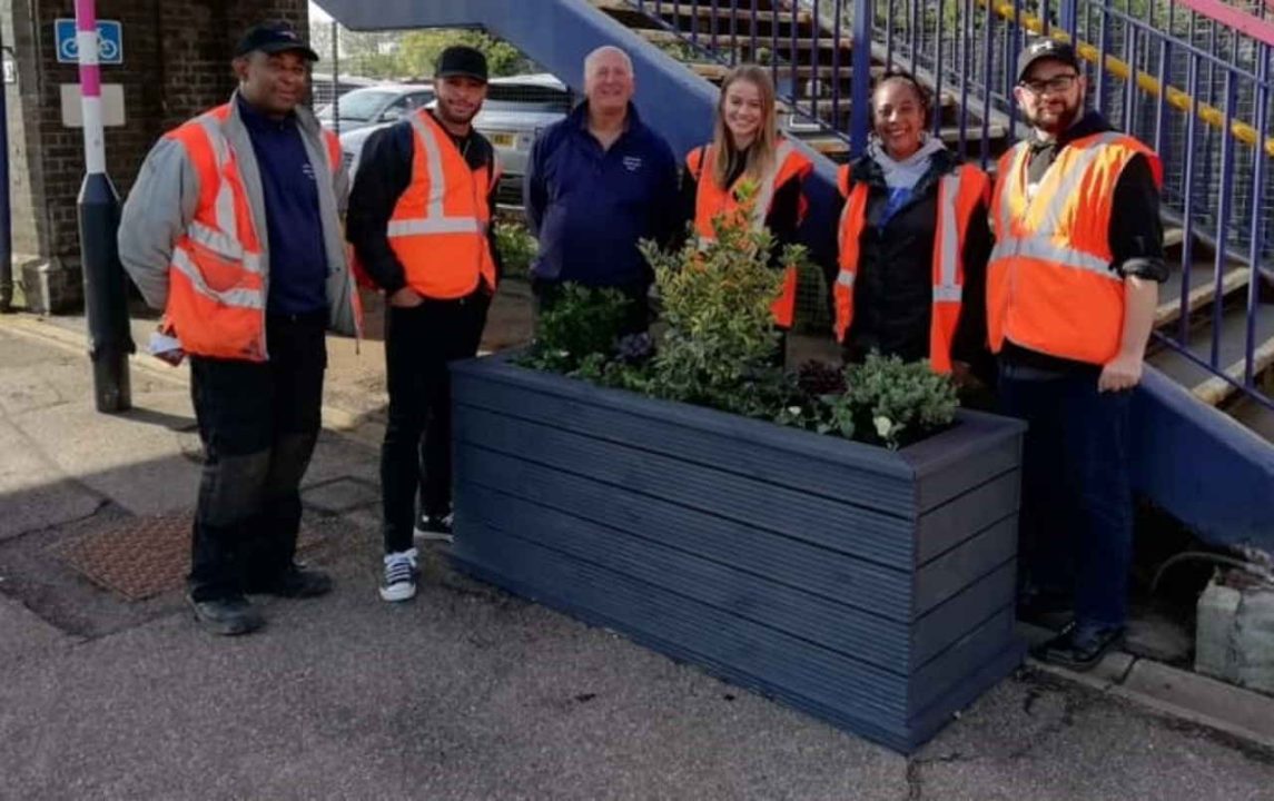 Harlington plants