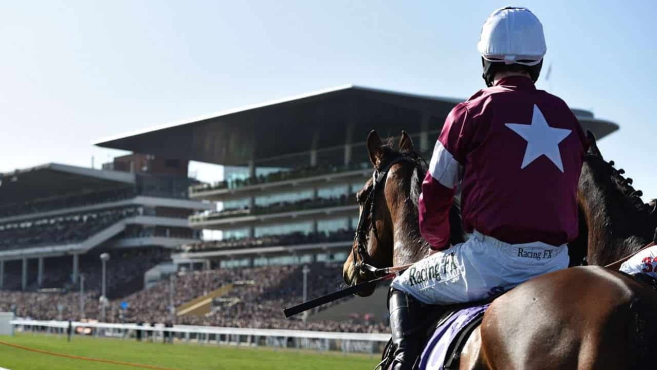 cheltenham festival