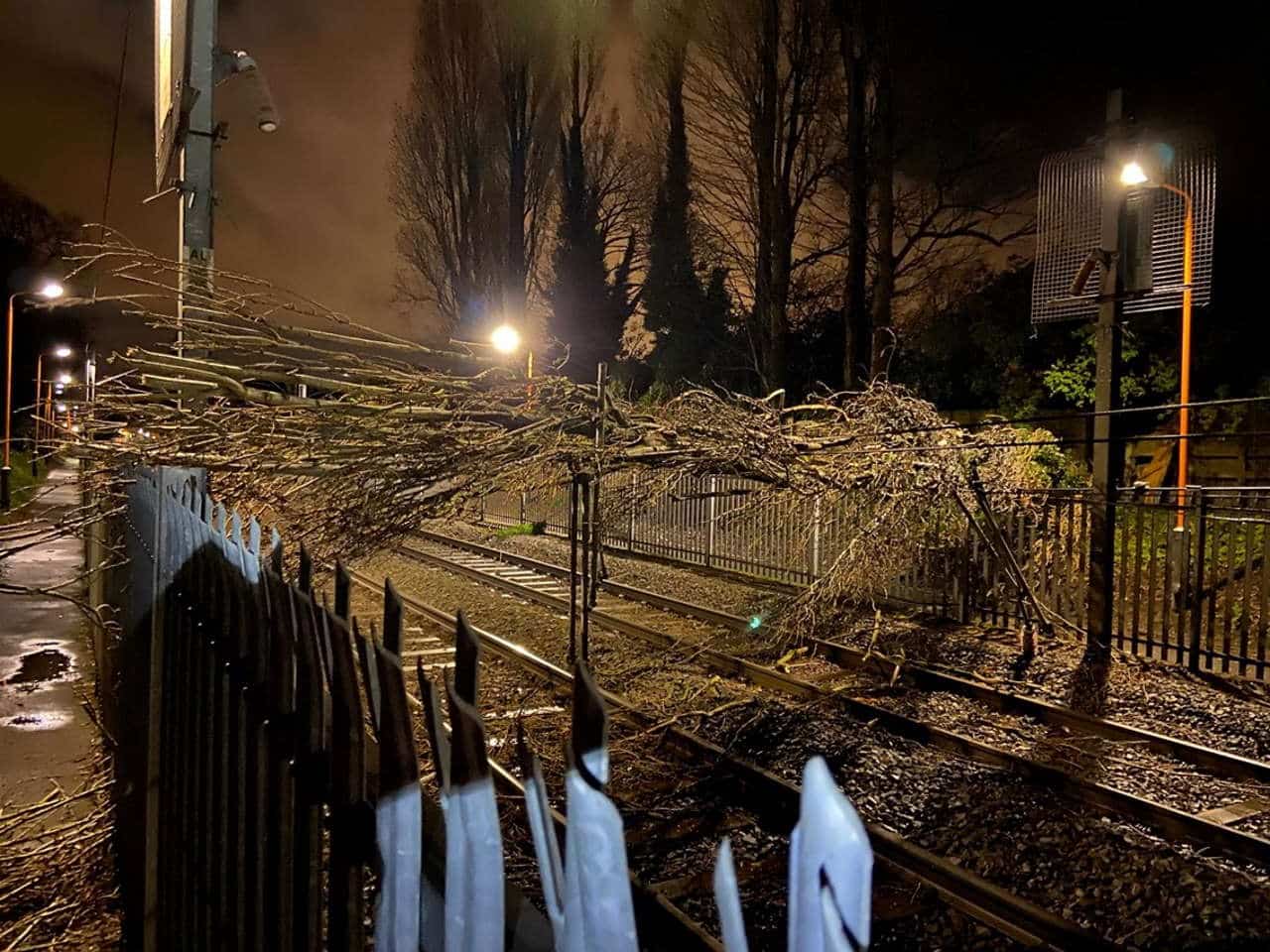 tree down cross city line