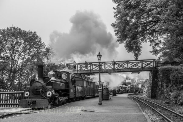 Linda arrives at Tan-y-bwlch - Ffestiniog Railway - Image 2