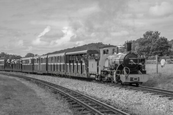 Northern Rock at Irton Road - Ravenglass and Eskdale Railway