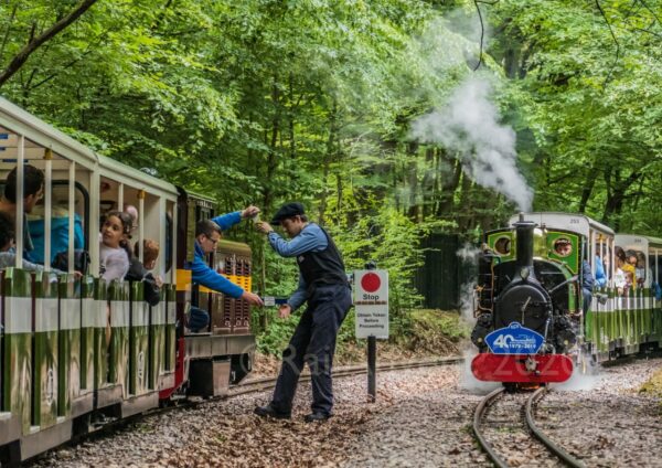 John Rennie and Mad Bess at Eleanor's Loop - Ruislip Lido Railway