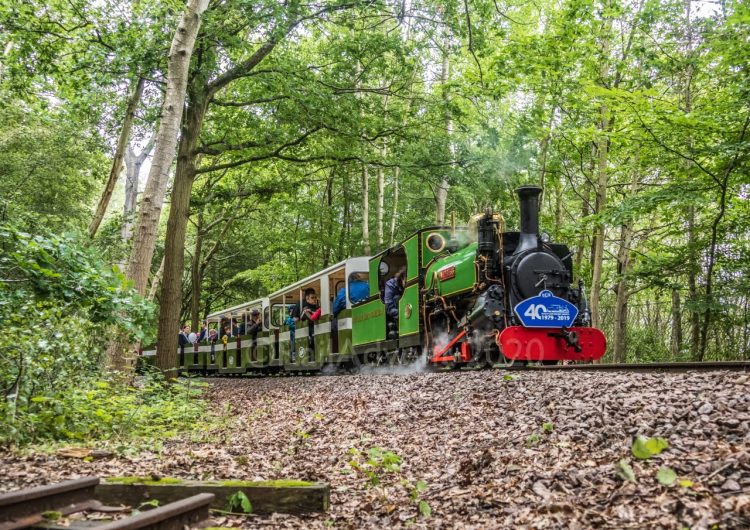 Mad Bess In The Woods - Ruislip Lido Railway