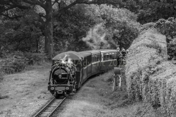 Whillan Beck at The Green - Ravenglass & Eskdale Railway