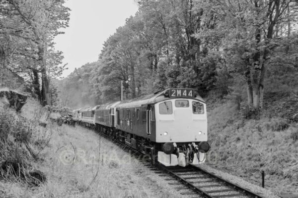 25059, 47727 'Edinburgh Castle', 50031 'Hood' and 37075 approach Oakworth - Keighley and Worth Valley Railway