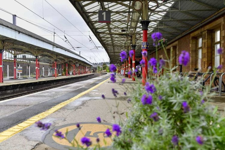 Penrith Station Flowers