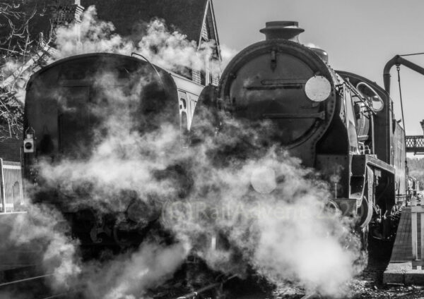 847 in sun at Sheffield Park on the Bluebell Railway