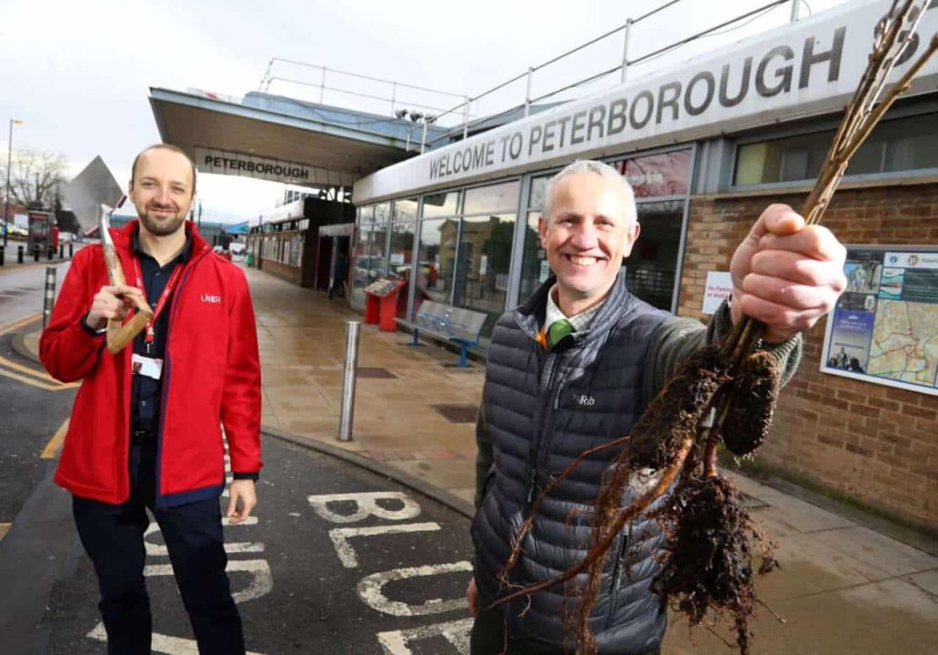 5000 trees planted in Peterborough thanks to LNER partnership