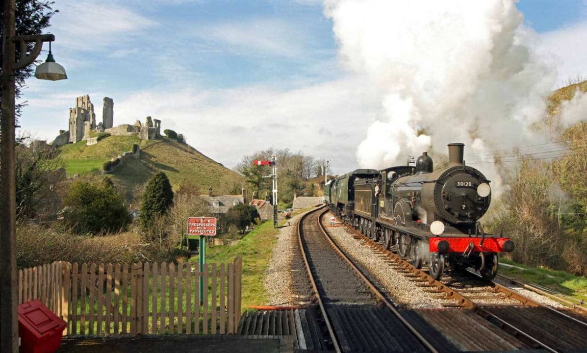 LSWR T9 on the Swanage Railway