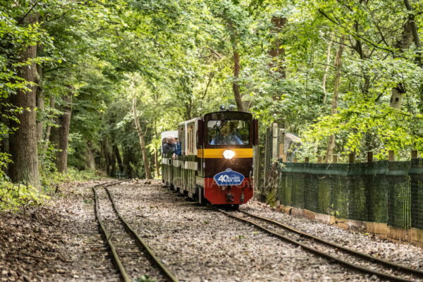 John Rennie on the Ruislip Lido Railway