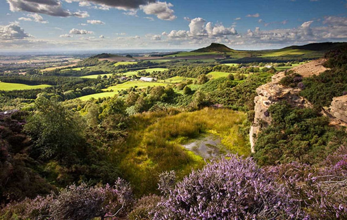 Roseberry Topping from Gribdale, North York Moors National Park