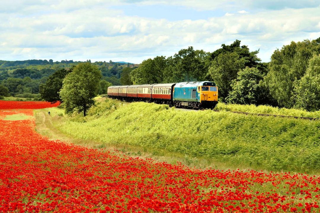 50 035 Ark Royal on the approach to Bewdley hauling the 1310 Bridgnorth-Kidderminster service, 21.6.2019