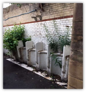 The old toilets