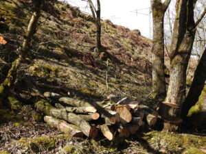 Habitat piles