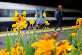 Southeastern begins £1.5m project to upgrade rail stations across its network