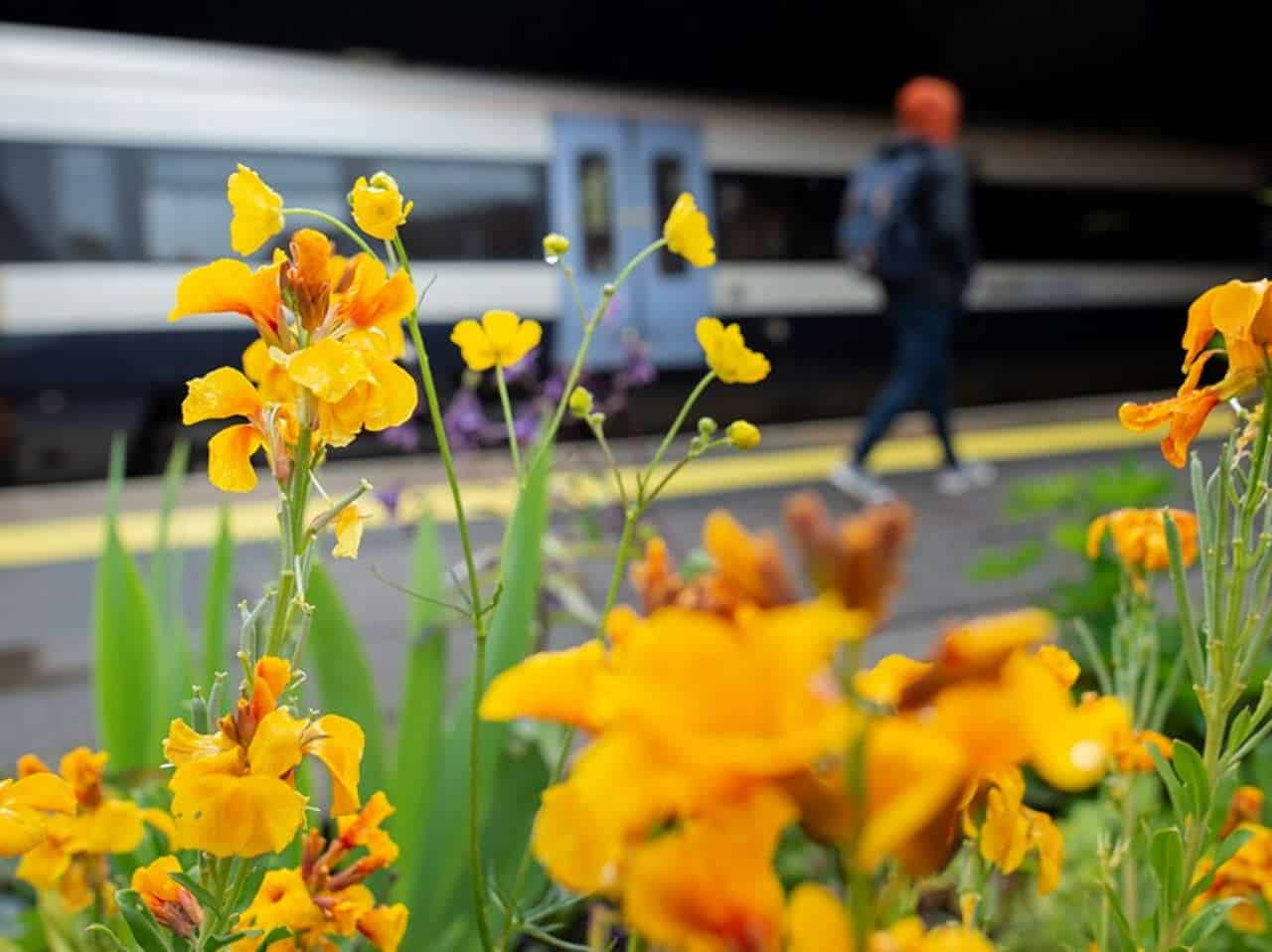 Southeastern Station gardens come to bloom