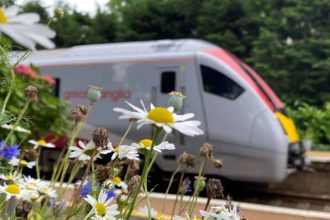 Essex Climate Change Train will see a tree planted for every passenger