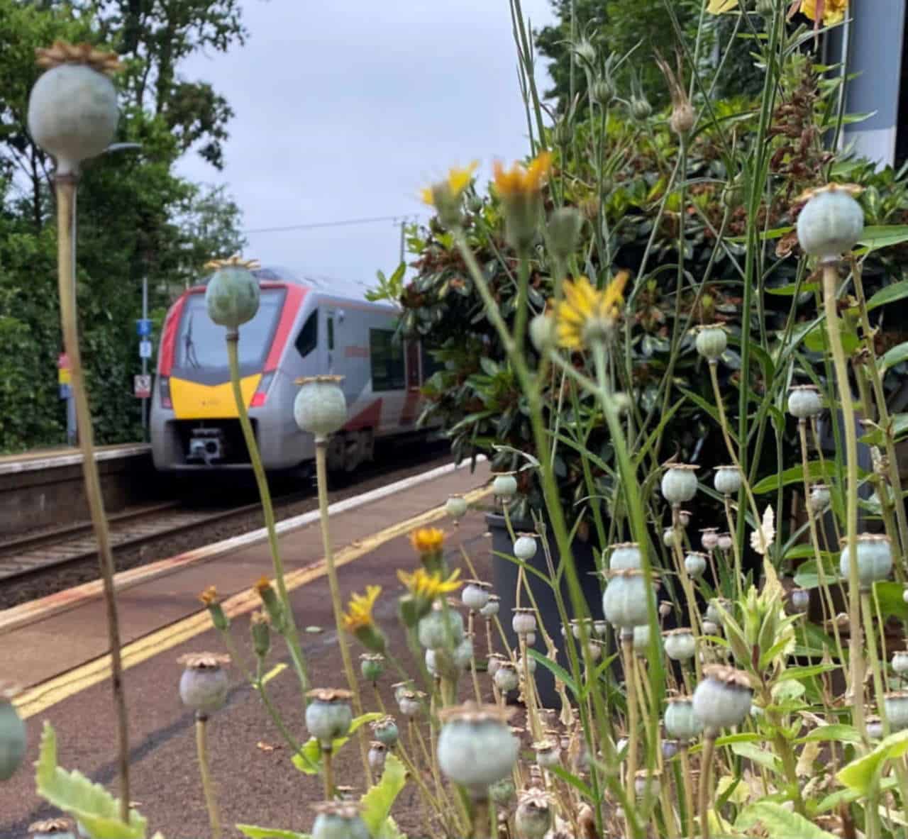 Brundall Gardens Station