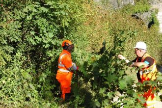 16 weeks of vegetation clearance between Cupar and Leuchars