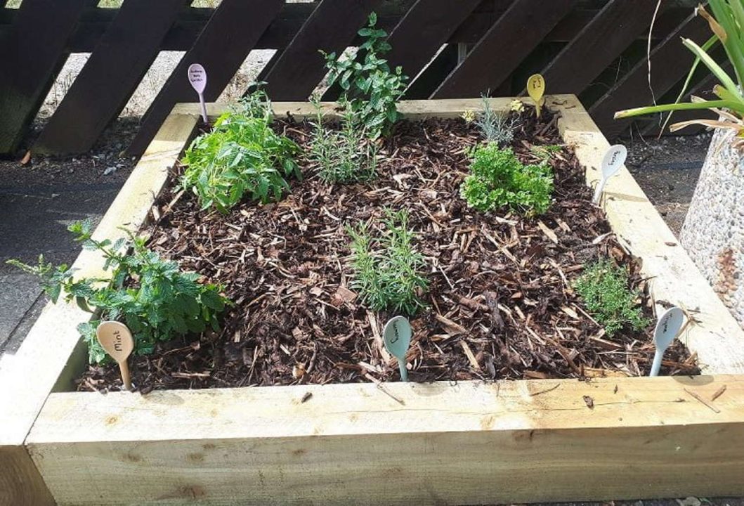 Herb gardens at Sudbury