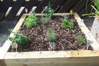 Community rail project brings herb and wildflower gardens to stations in Essex