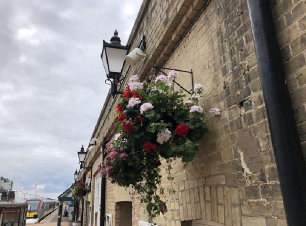 Hanging basket at Lowestoft stationHanging basket at Lowestoft station