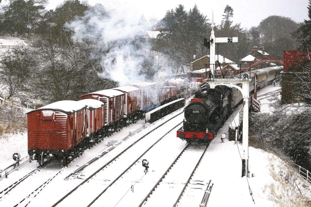 Moorlander in Snow