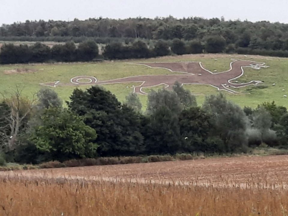 bures walk dragon