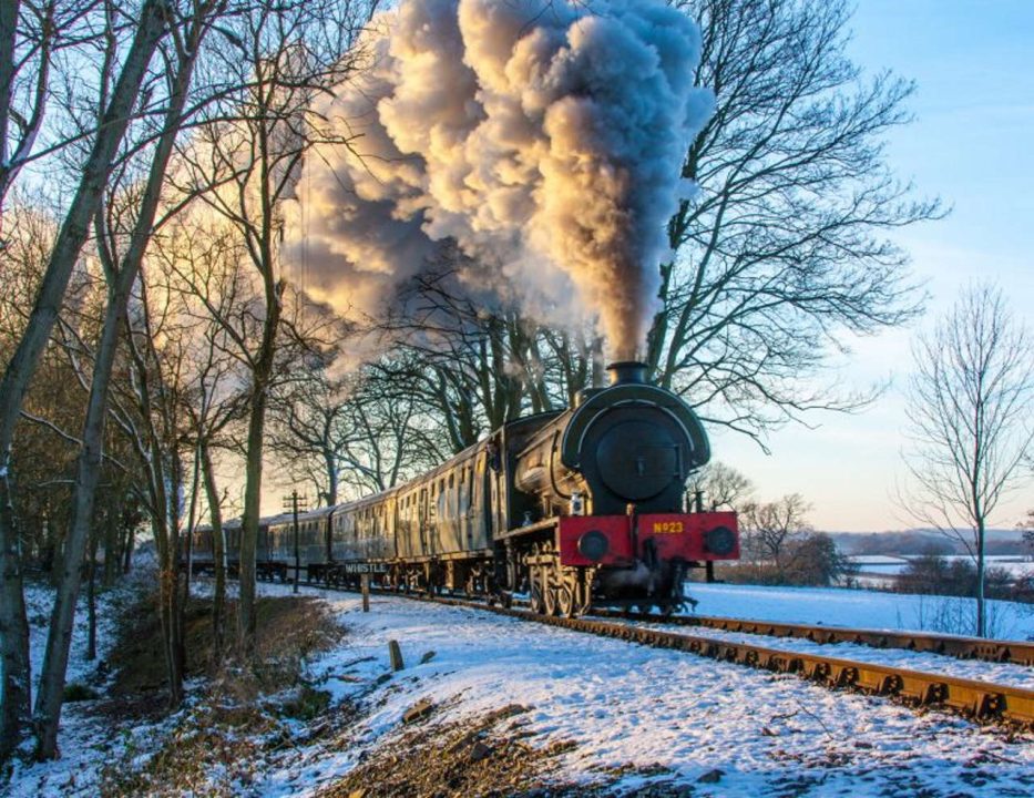 loco 22481 winter pitcure