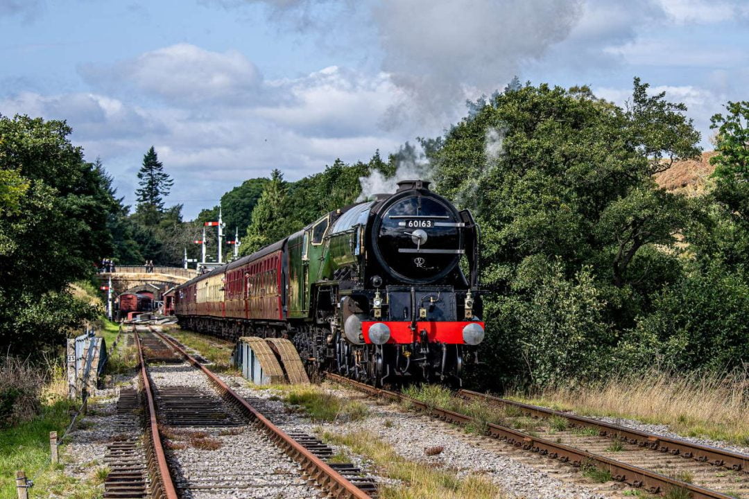 NYMR Bridge 25