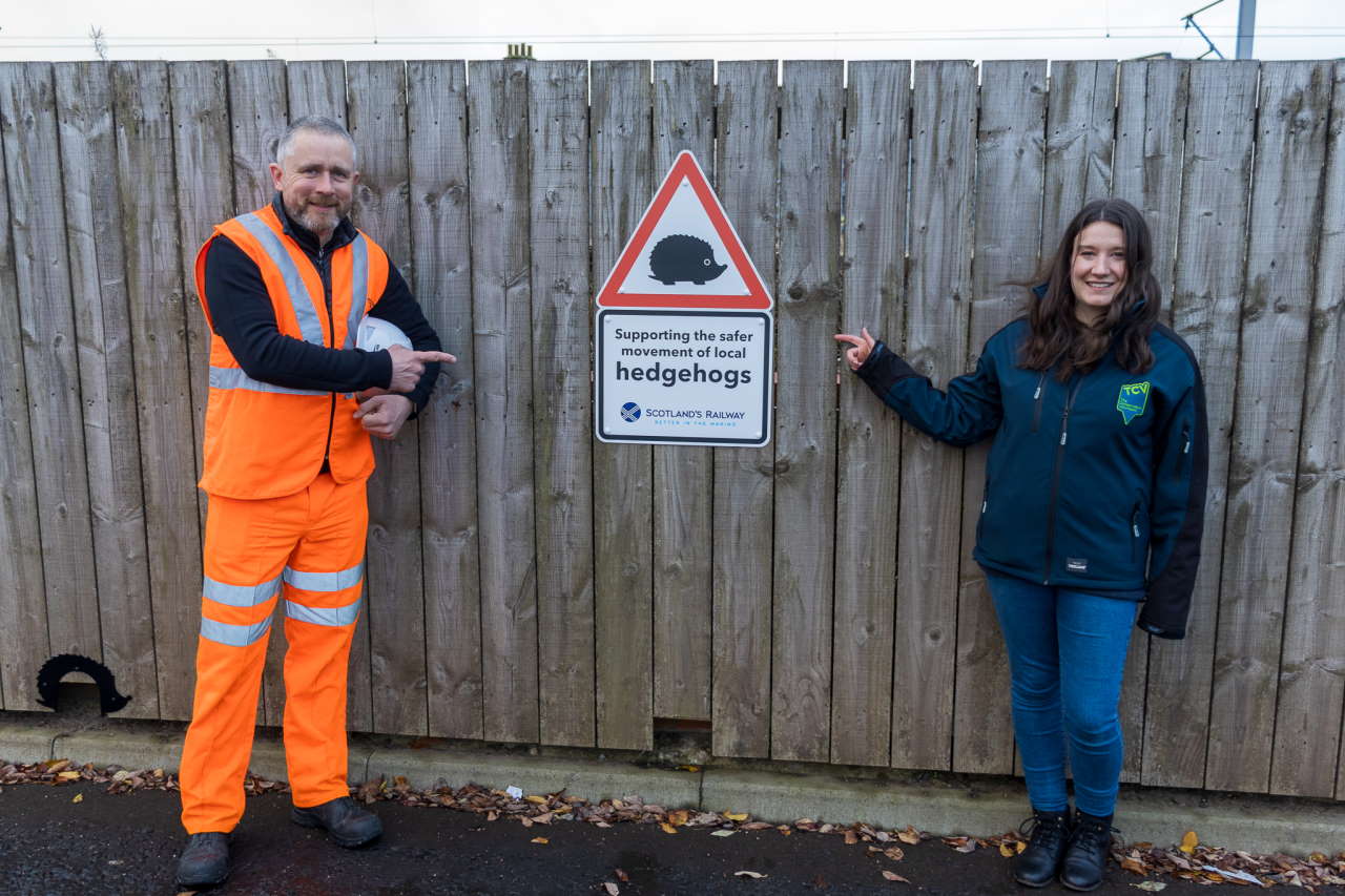 Hedgehog Highway at Lanark 23 Nov-01