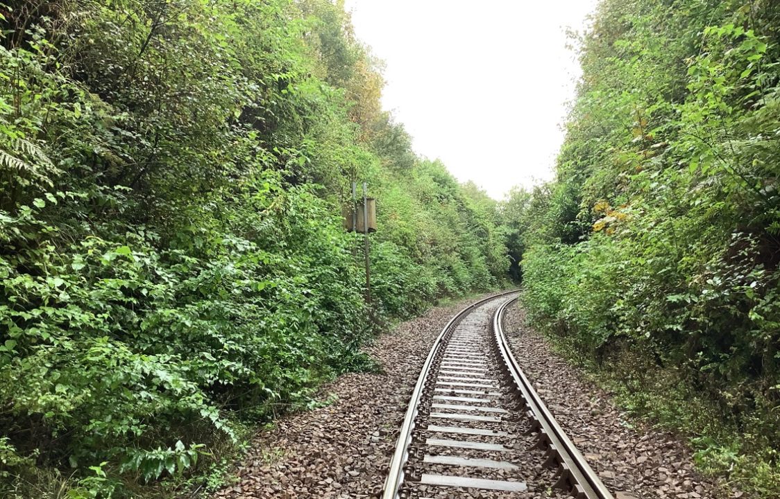 Overgrown vegetation at Helnsburgh on WHL