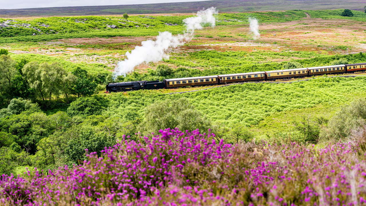 Autumn Steam Gala NYMR