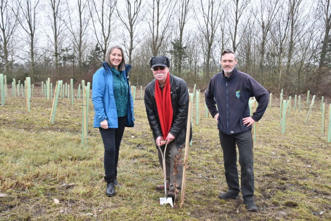 NYMR tree planting