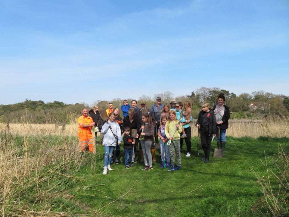 Haddiscoe tree replanting