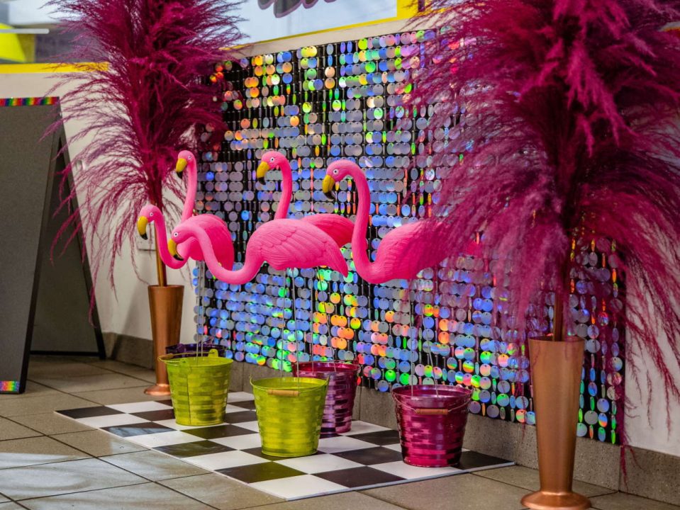 Moorfields Flamingos