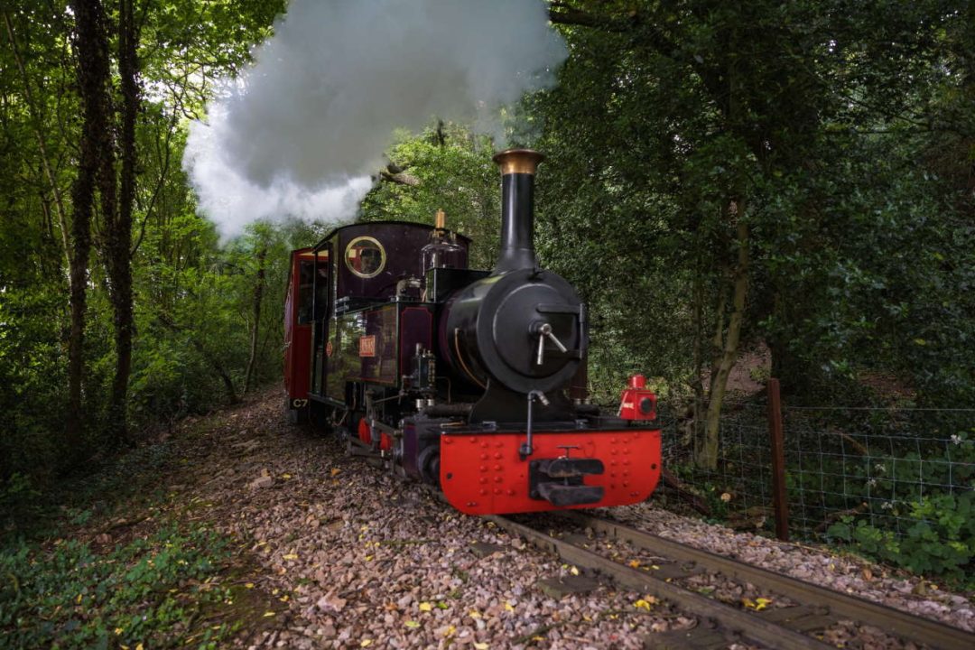 Anne on the Perrygrove Railway