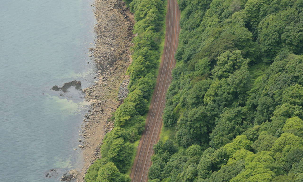 Aberdour Kirkcaldy vegetation