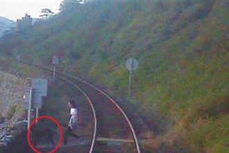 VIDEO: Shocking CCTV footage of near miss at North Wales level crossing