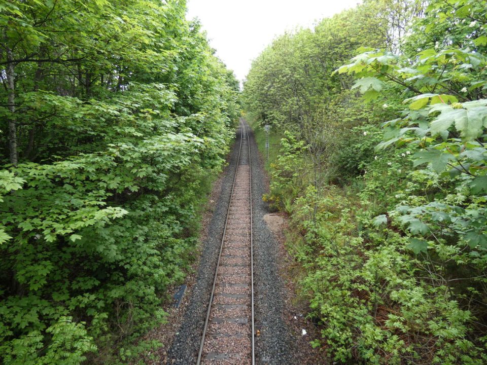 Vegetation Management on the Far North Line