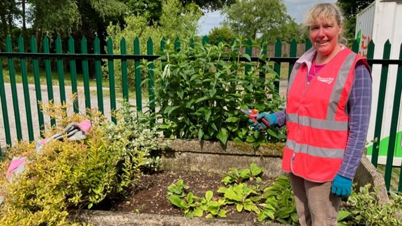 Weeding at Sampford Courtenay