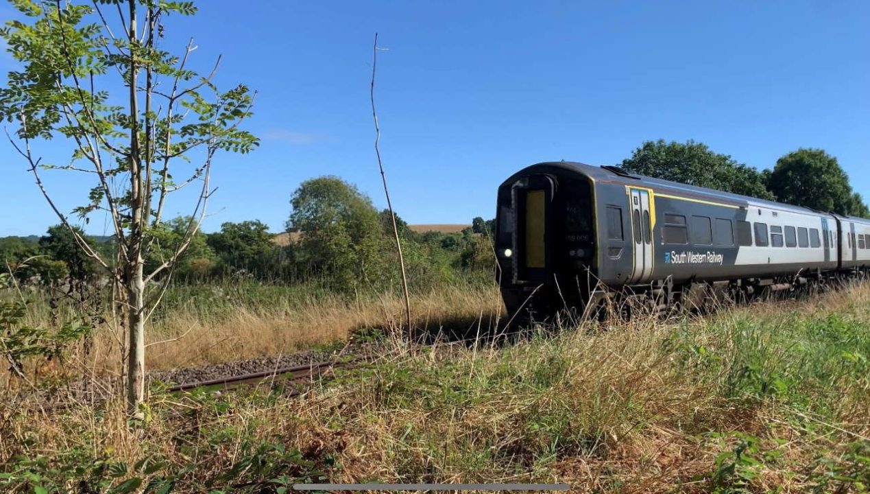 Gillingham to Tisbury train