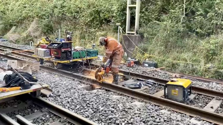 Beechwood tunnel - October 2022 (2)