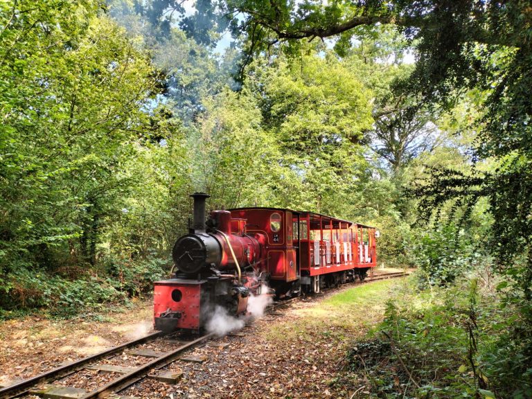 ireland-s-oldest-heritage-railway-tests-biocoal-on-steam-locomotives