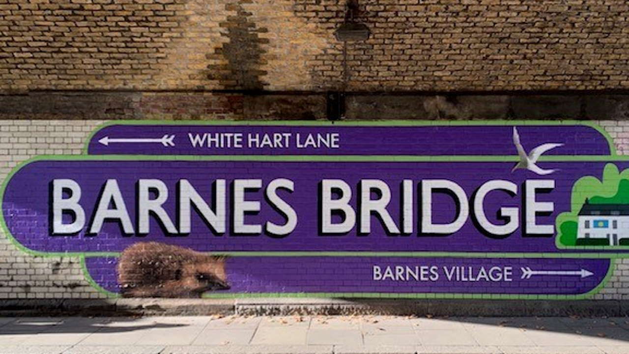 Barnes Bridge