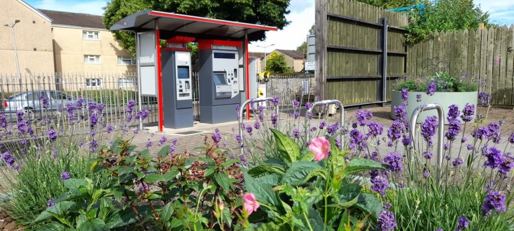 Cardiff Bay biodiversity improvements