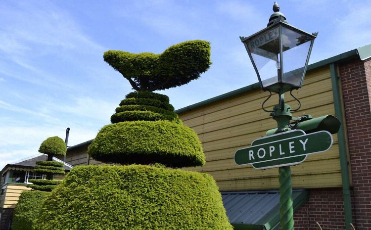 x1ropley_station_at_the_watercress_line